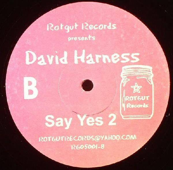 Karizma / David Harness : Music / Say Yes (12")